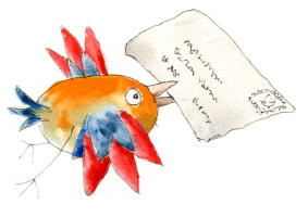 a colourful bird with an envelope in it's mouth